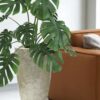 Decorative Mother Of Pearl Planter Pot (1)