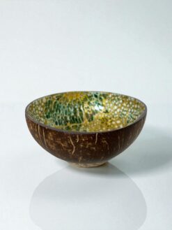 Eco Friendly Pearl Inlay Coconut Bowl (3)