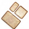 Charming Rattan And Mother Of Pearl Tray Set (2)