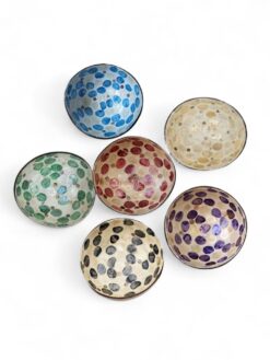 Classic Shell Coconut Bowl (1)