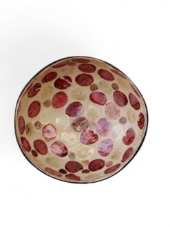 Classic Shell Coconut Bowl (2)