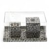 Classic Shell Incense Set (2)