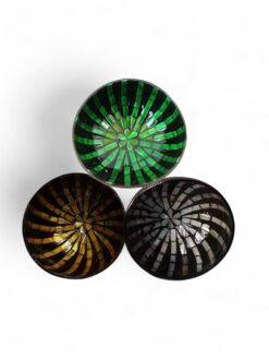 Coastal Style Shell Coconut Bowl (1)