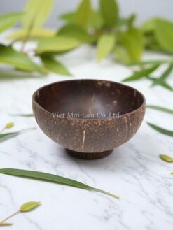 Coconut Bowl With Fiber Ring (1)