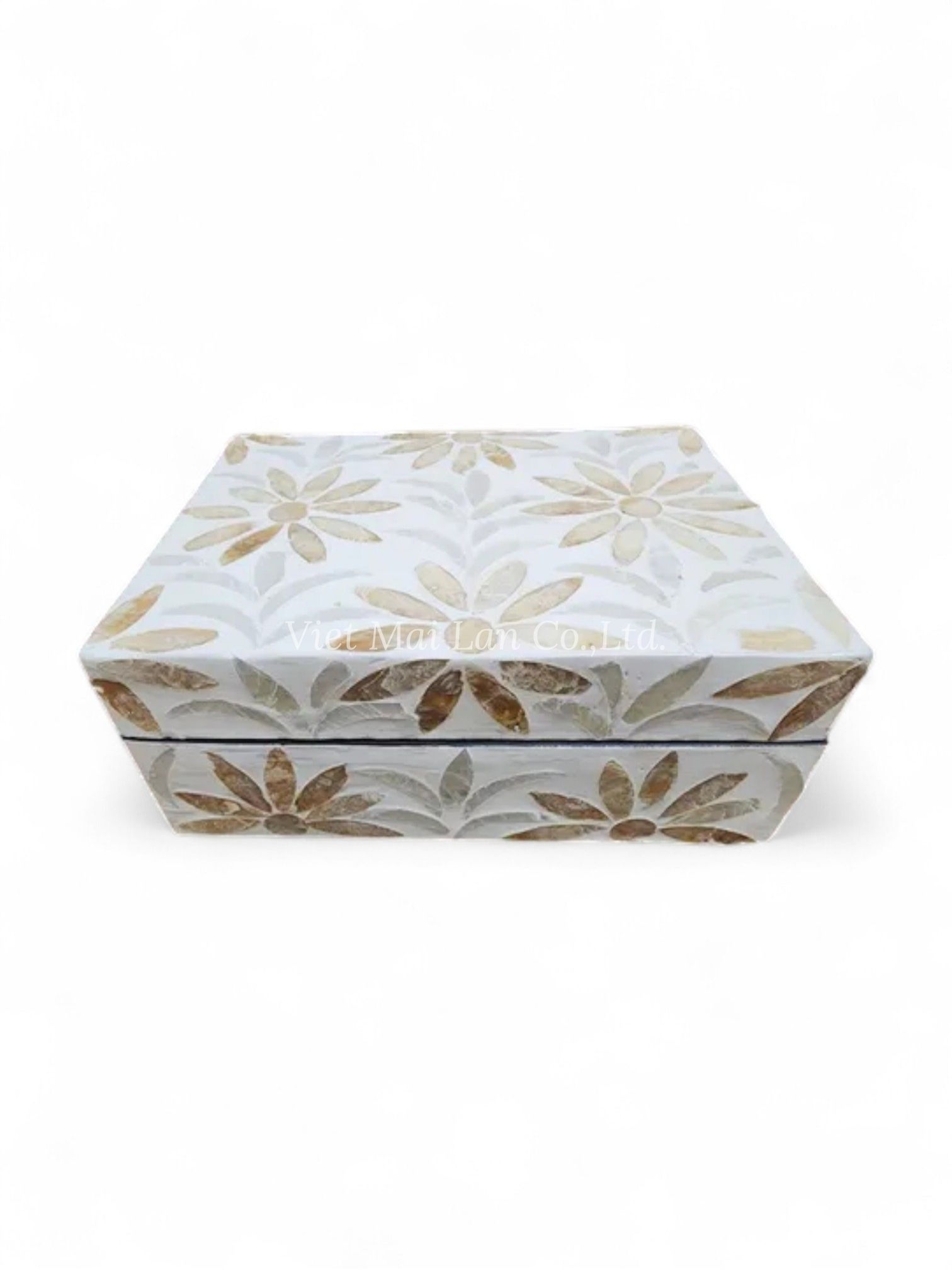 Decorative Mother Of Pearl Box (1)