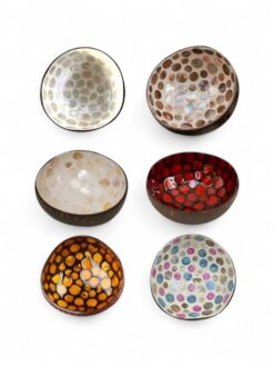 Dotted Shell Coconut Bowl (1)