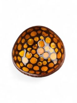 Dotted Shell Coconut Bowl (2)