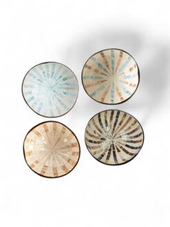 Eco Friendly Colorful Shell Coconut Bowl (1)