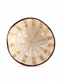 Eco Friendly Colorful Shell Coconut Bowl (2)