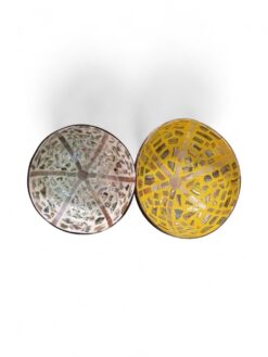 Eco Friendly Shell Coconut Bowl (1)