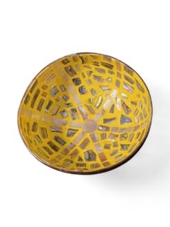 Eco Friendly Shell Coconut Bowl (2)