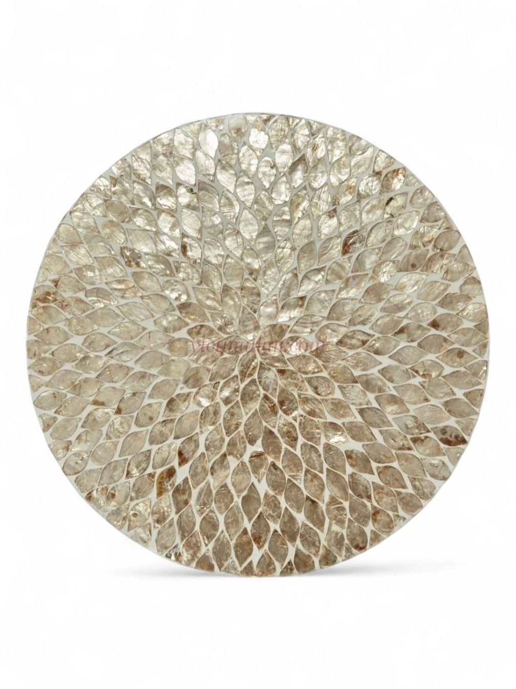 Elegant Light Gold Shell Placemats (1)