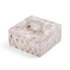 Elegant Mother Of Pearl Box With Handle (1)
