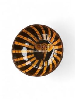 Elephant Shell Coconut Bowl (2)