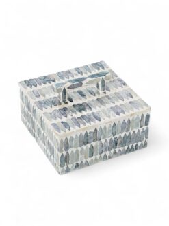 Exquisite Mother Of Pearl Box With Handle (1)