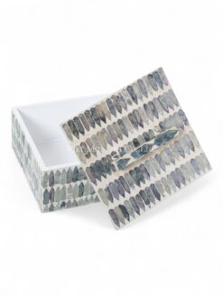 Exquisite Mother Of Pearl Box With Handle (2)