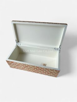Exquisite Mother Of Pearl Inlaid Jewelry Box (2)