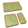 Green Natural Rattan And Mother Of Pearl Tray (2)