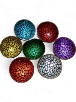Handcrafted Colorful Shell Coconut Bowl (1)