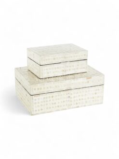 Handcrafted Natural Mother Of Pearl Box (1)