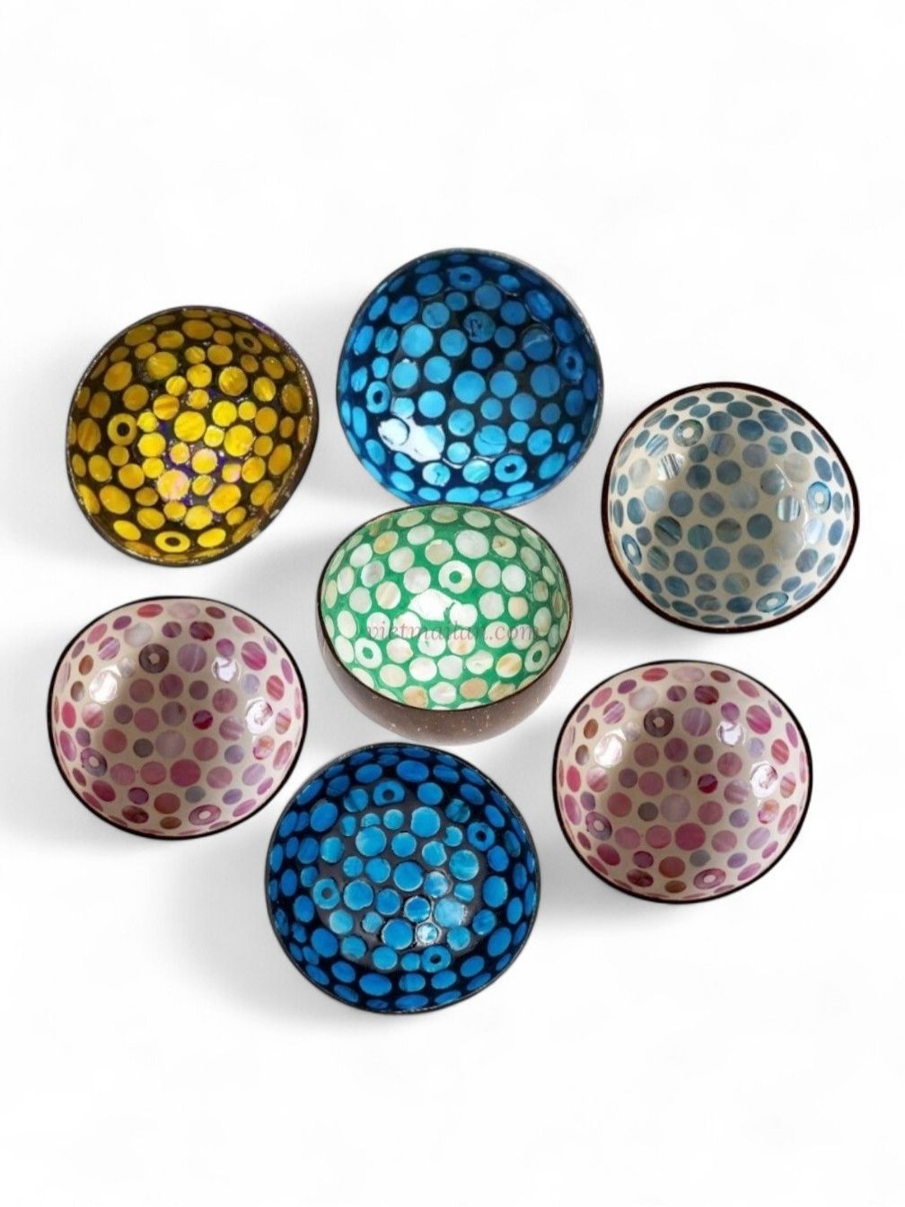 Iridescent Shell Coconut Bowl Collection (1)