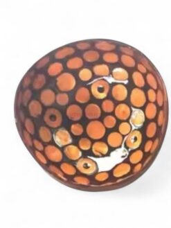 Iridescent Shell Coconut Bowl Collection (2)