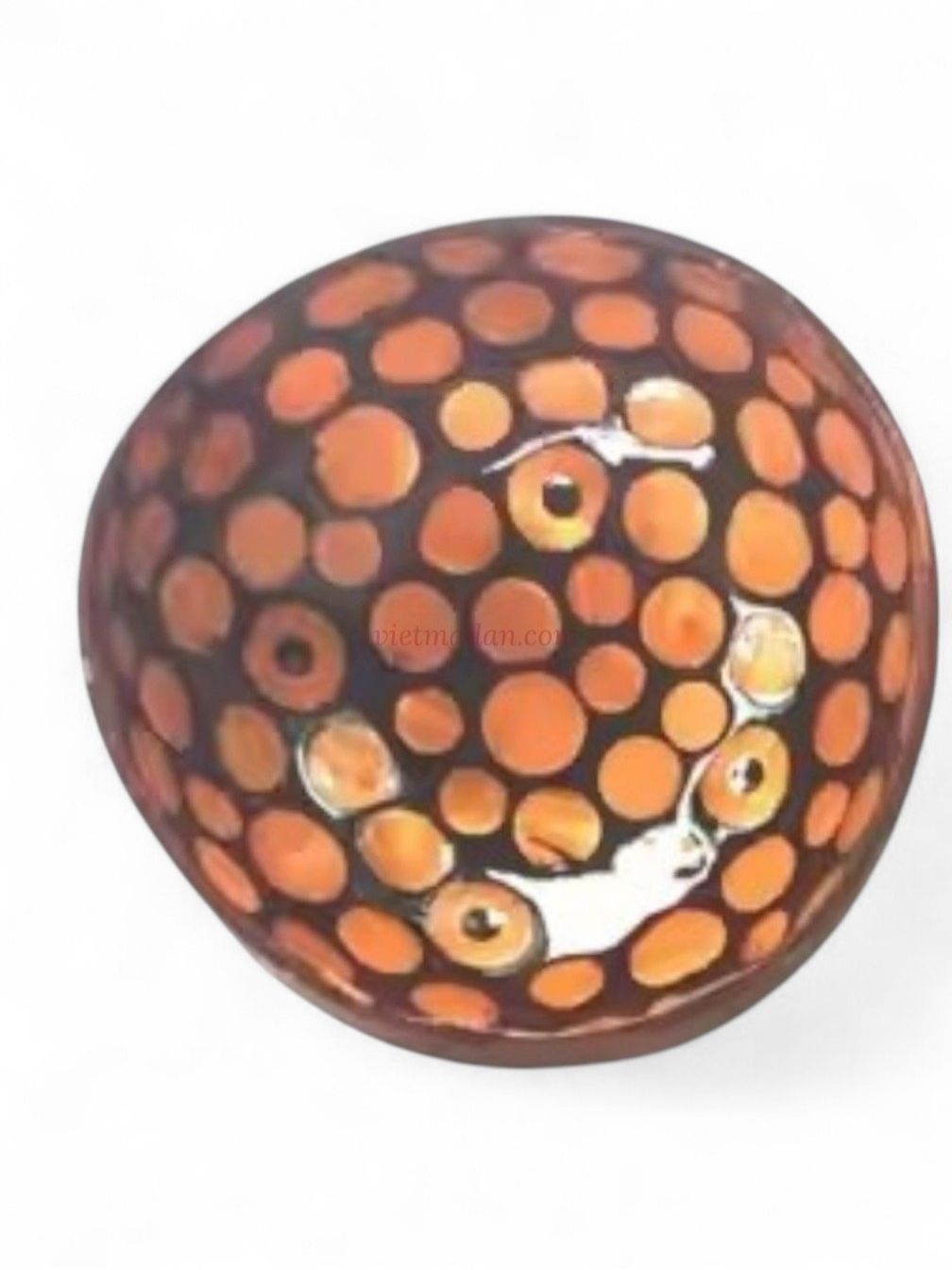 Iridescent Shell Coconut Bowl Collection (2)