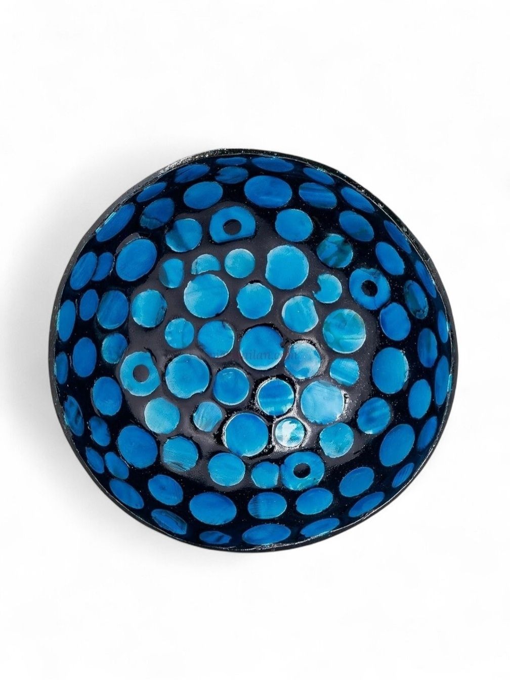 Iridescent Shell Coconut Bowl Collection (3)