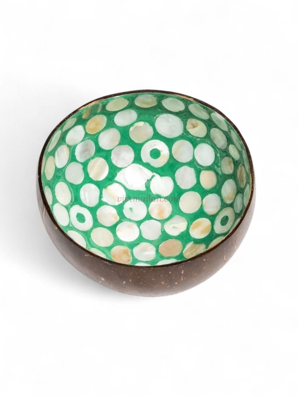 Iridescent Shell Coconut Bowl Collection (4)