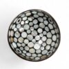 Iridescent Shell Coconut Bowl Collection (5)