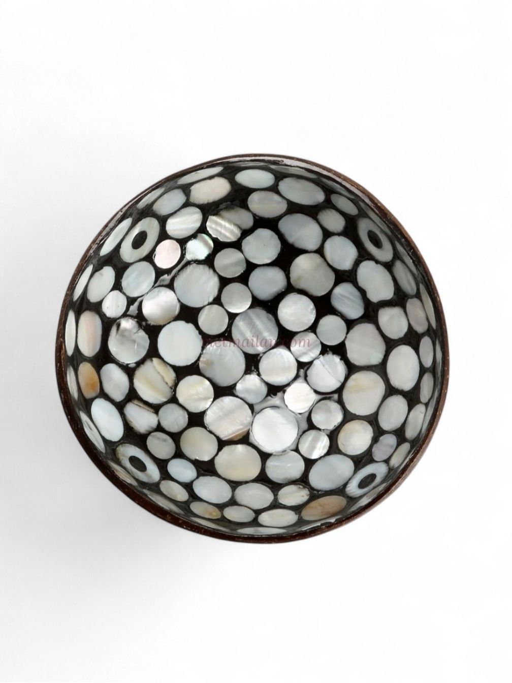 Iridescent Shell Coconut Bowl Collection (5)