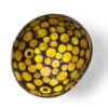 Iridescent Shell Coconut Bowl Collection (6)