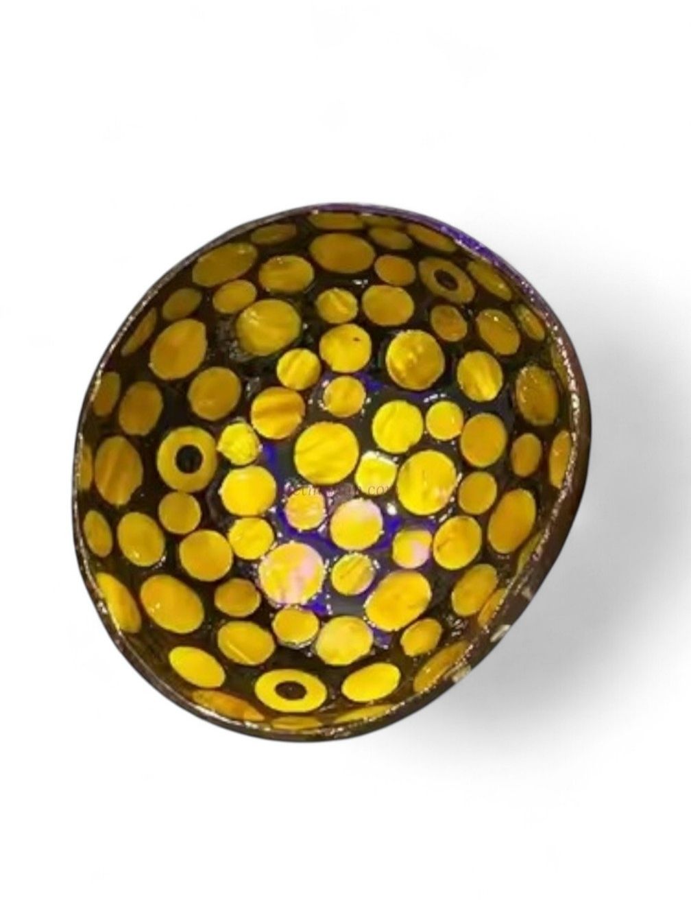 Iridescent Shell Coconut Bowl Collection (6)