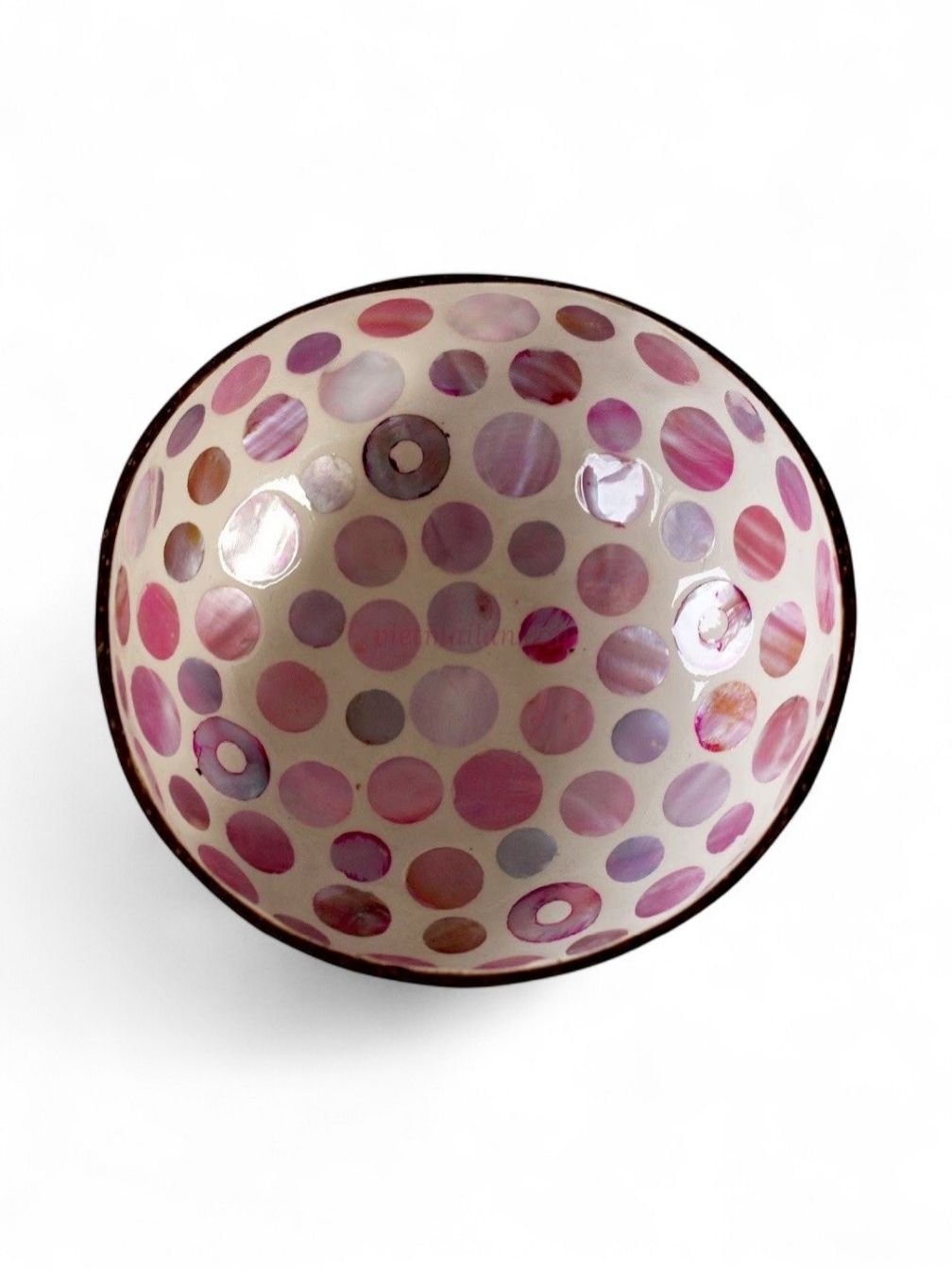 Iridescent Shell Coconut Bowl Collection (7)