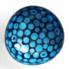 Iridescent Shell Coconut Bowl Collection (8)