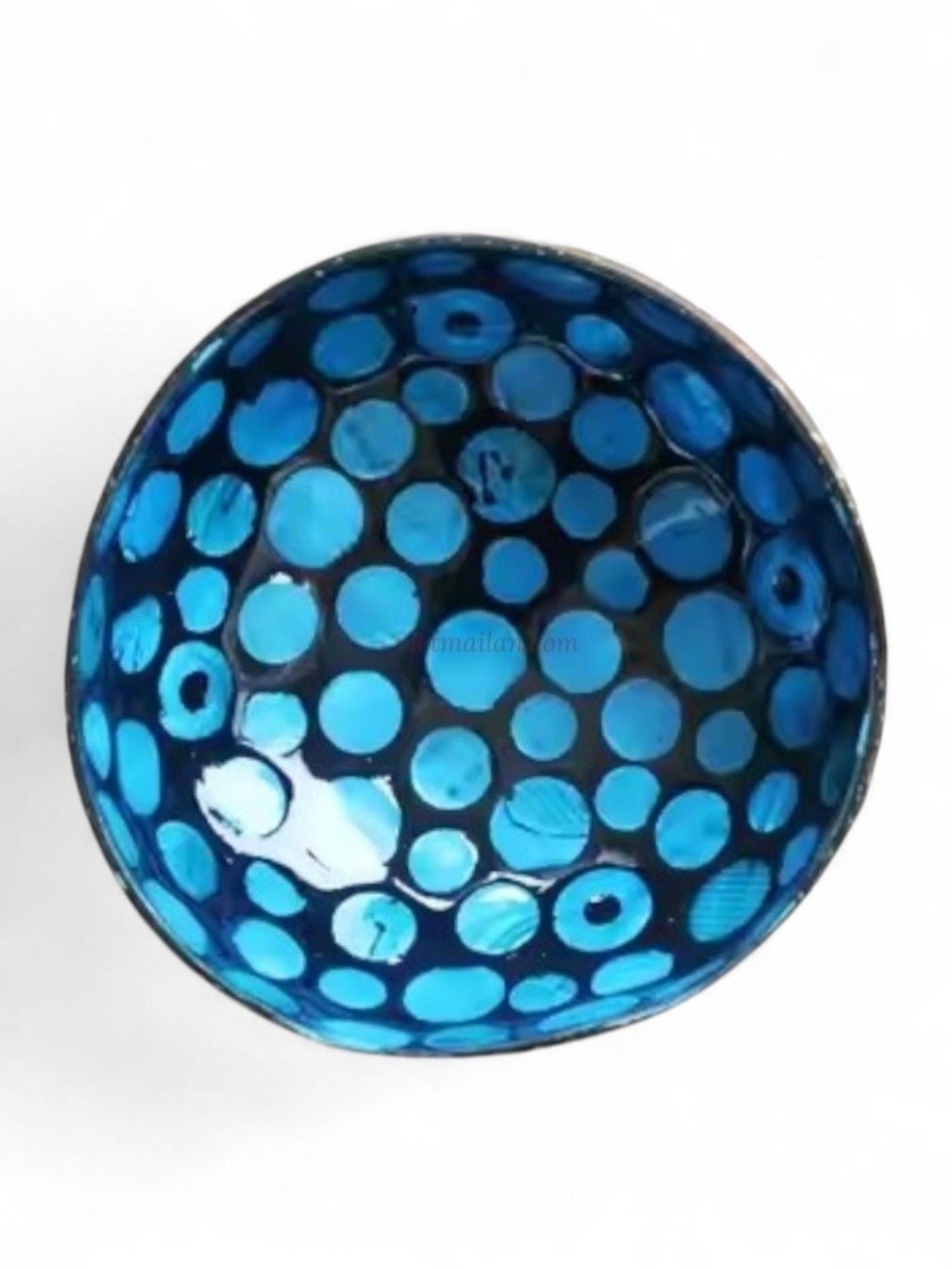 Iridescent Shell Coconut Bowl Collection (8)