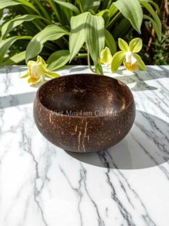Large Coconut Bowl (1)