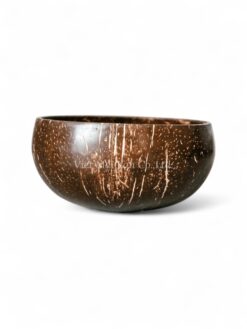 Large Coconut Bowl (2)
