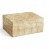 Luxurious Mother Of Pearl Box (1)