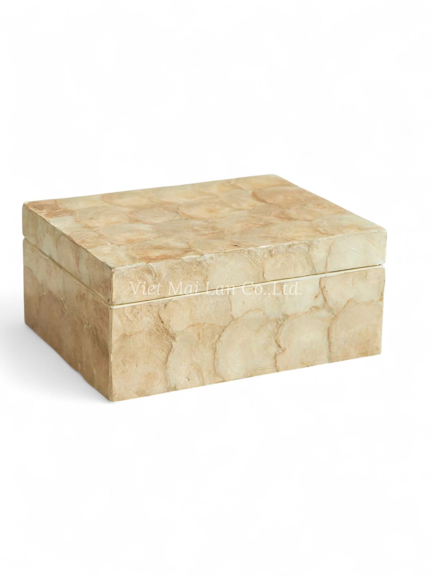 Luxurious Mother Of Pearl Box (1)