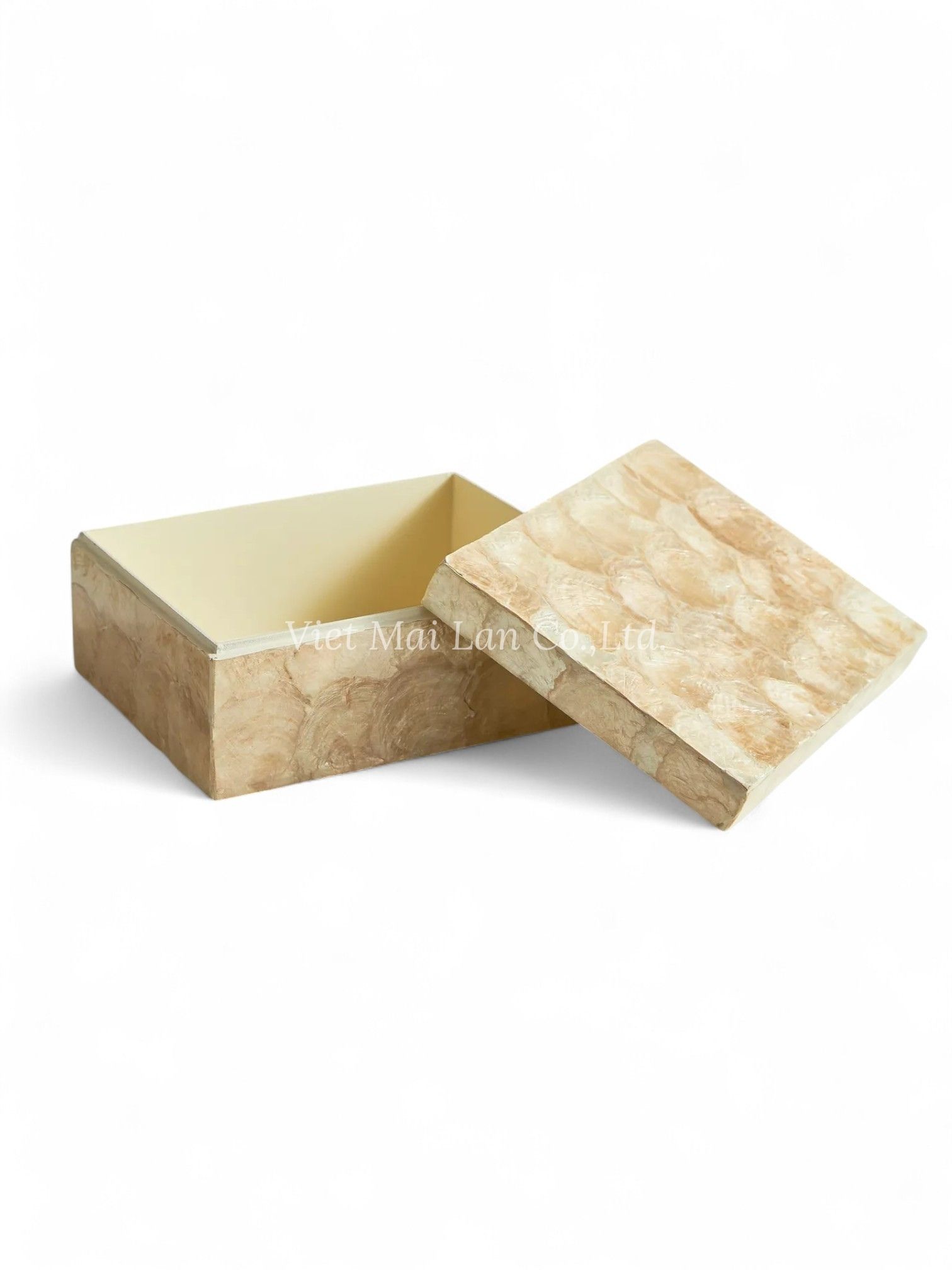 Luxurious Mother Of Pearl Box (2)