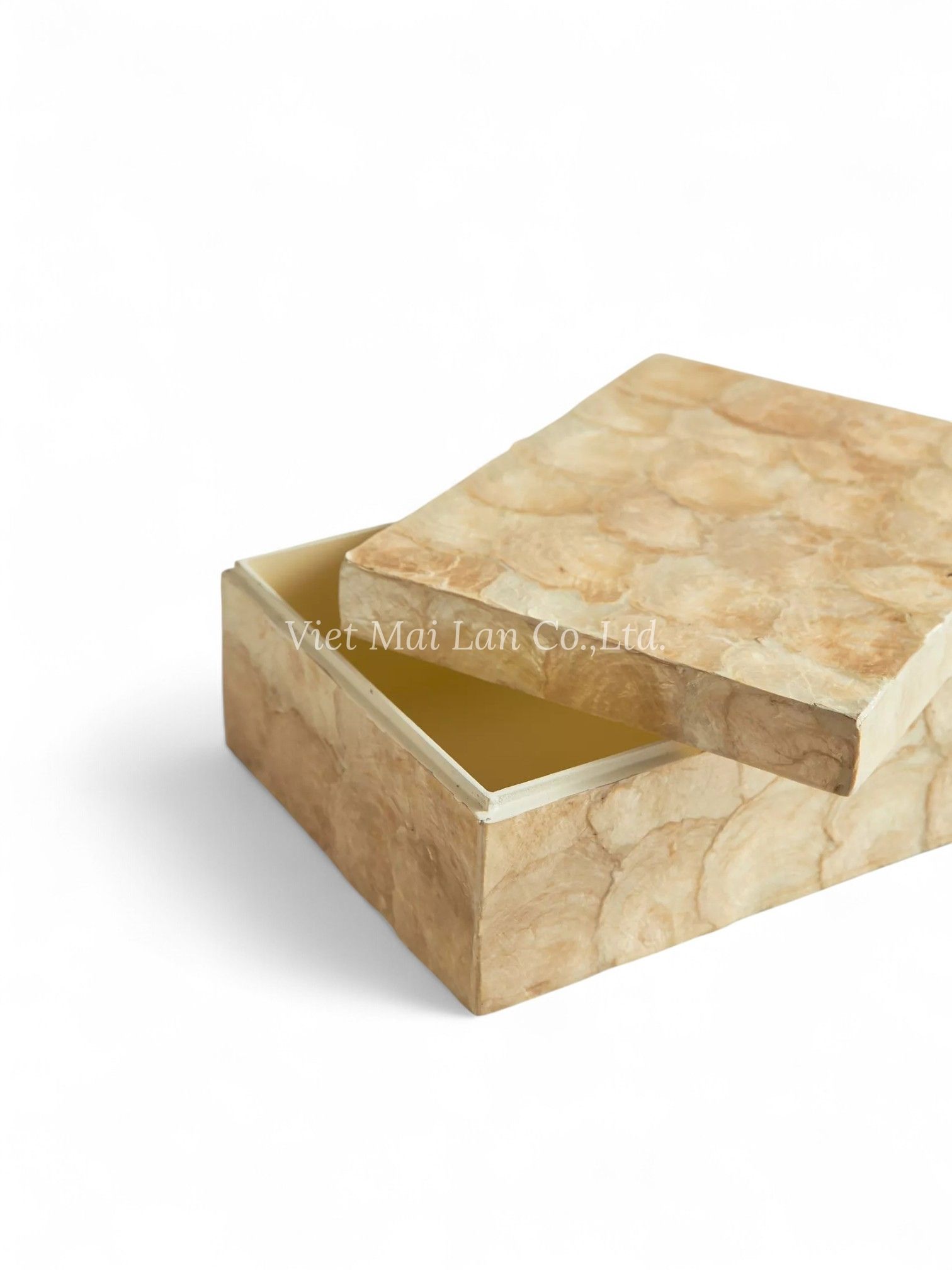 Luxurious Mother Of Pearl Box (3)