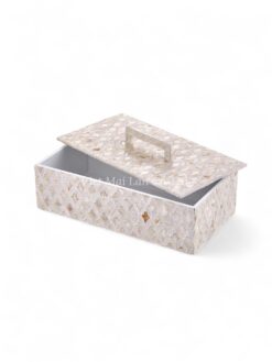 Luxury Mother Of Pearl Box With Handle (2)