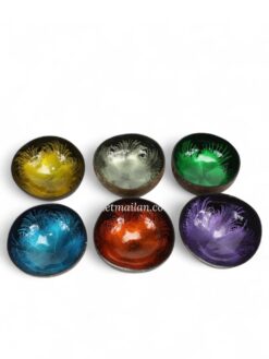 Modern Color Lacquer Coconut Bowl (1)