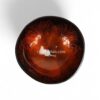 Modern Color Lacquer Coconut Bowl (3)