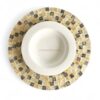 Modern Color Shell Charger Plates (2)