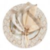 Modern Color Shell Placemats (2)