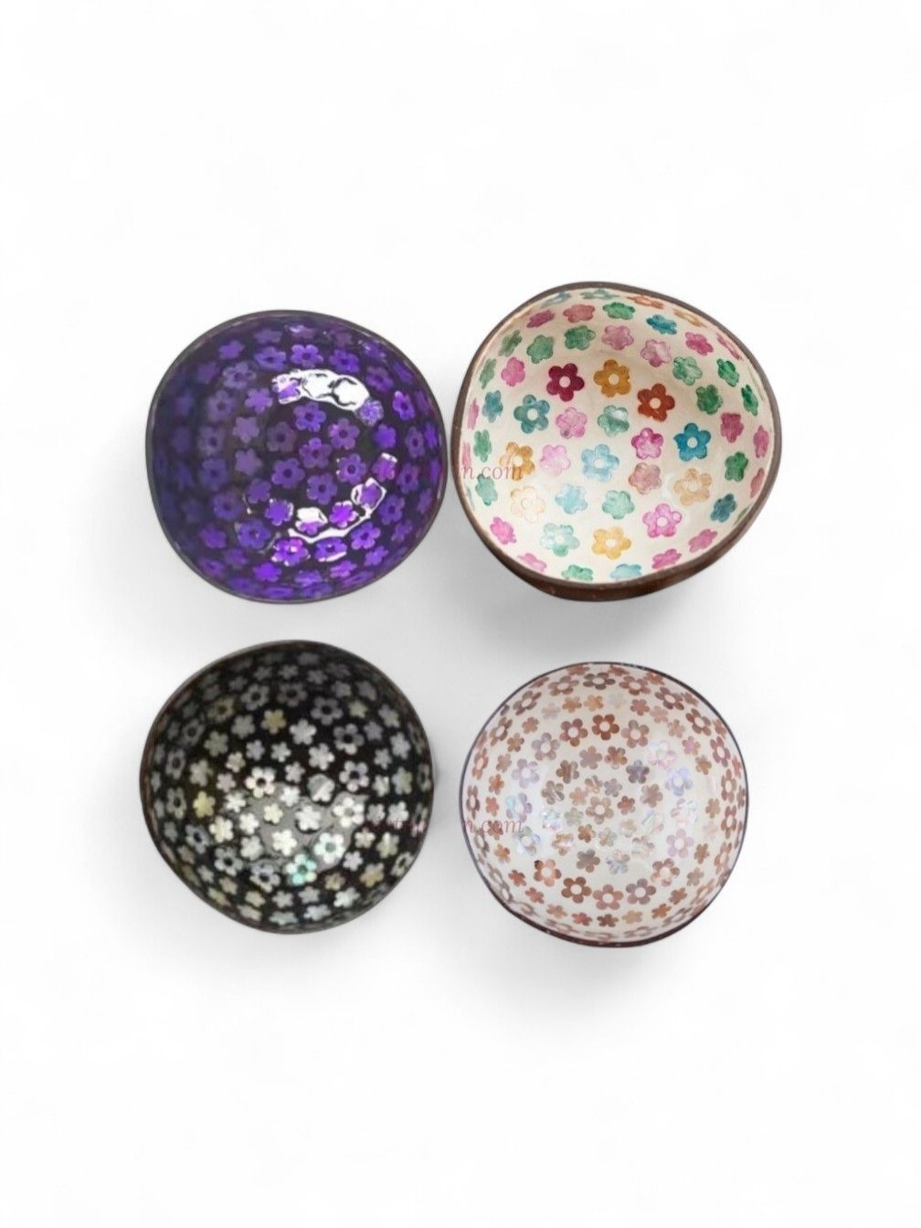 Modern Flower Shell Coconut Bowl (1)