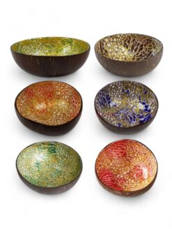 Modern Lacquer Coconut Bowl (1)