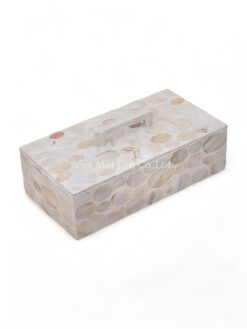 Modern Mother Of Pearl Box With Handle (1)